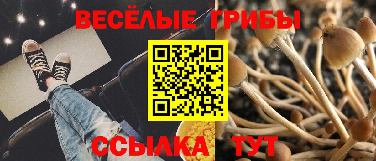 Советский  Псилоцибиновые грибы GOLDEN TEACHER  Вход с VPN  Псилоцибиновые грибы Cubensis 